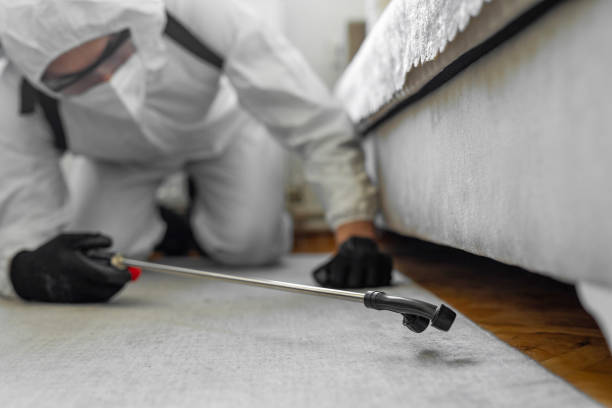 Professional Mosquito Control technician working in East Village, CT