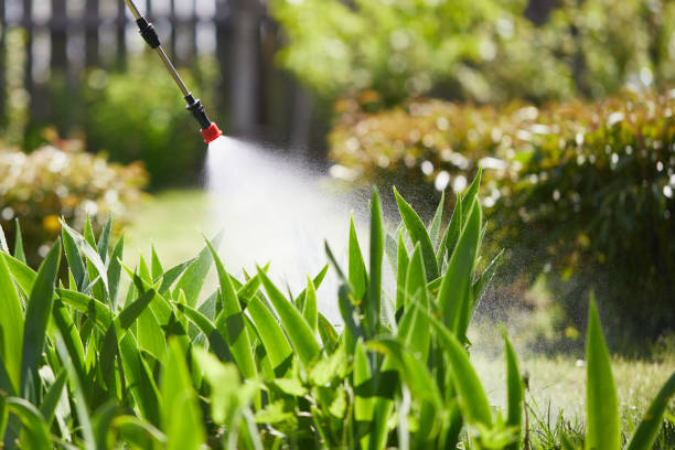 24/7 Emergency Mosquito Control experts in East Village, CT