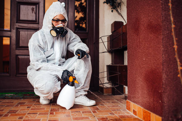 Reliable Mosquito Control contractor in East Village, CT by Nex Pest Control