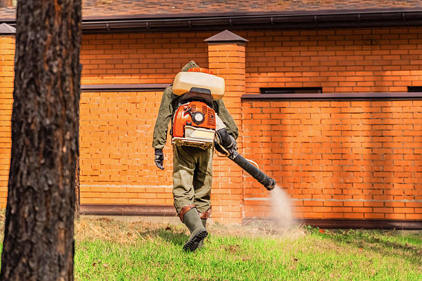 Trusted Mosquito Control service in East Village, CT - Nex Pest Control